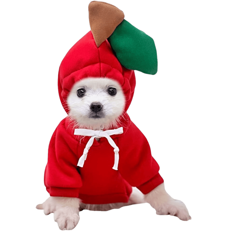 KIT PETZ FUN APPLE HOODIE 2XL