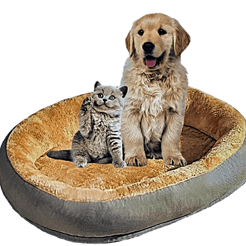 PETZ WOW DREAMS GRIS GRANDE